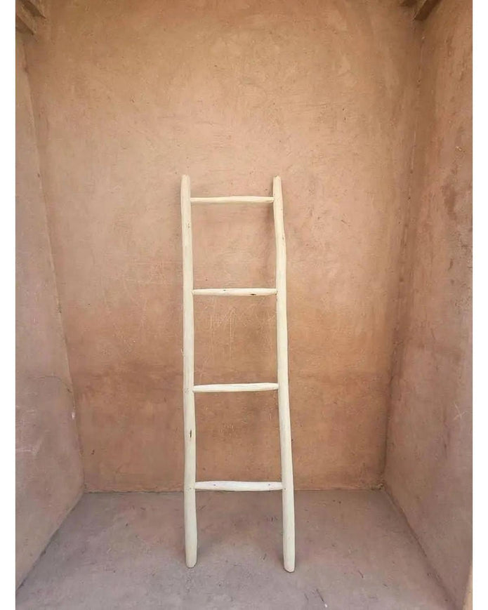 Ladder Display Shelf - Whitewashed - Home DecorHome Decor - Lulu Loves Home