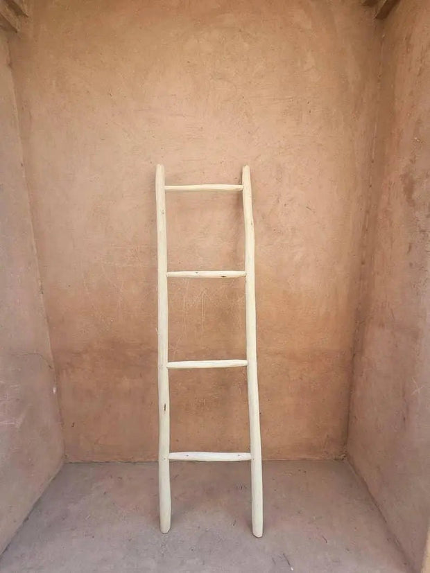 Ladder Display Shelf - Whitewashed - Home DecorHome Decor - Lulu Loves Home