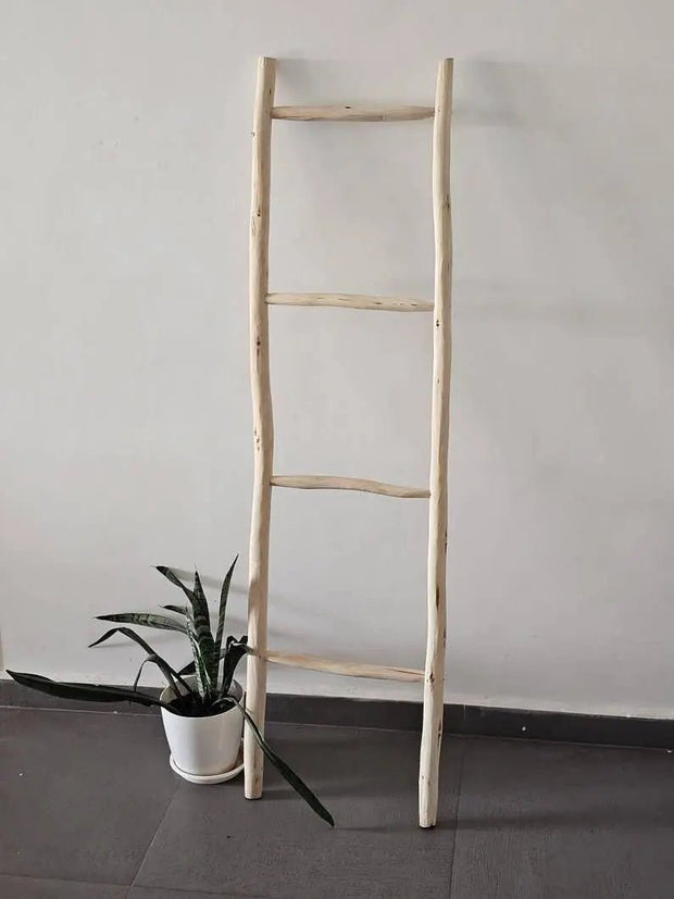 Ladder Display Shelf - Whitewashed - Home DecorHome Decor - Lulu Loves Home