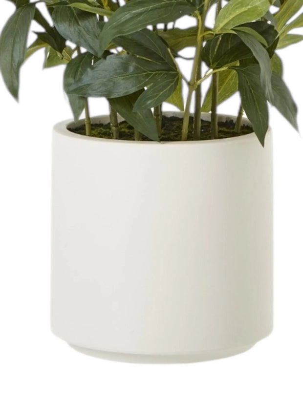 Large Potted White Peony Bush - Faux Plants & FlowersFaux Plants & Flowers - Lulu Loves Home