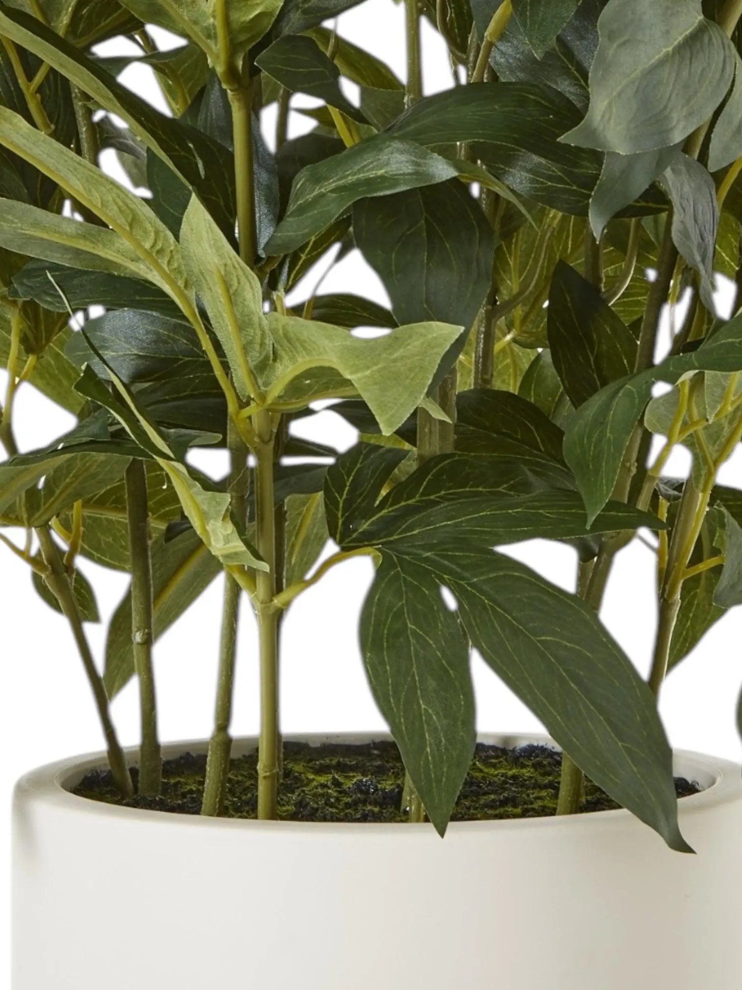 Large Potted White Peony Bush - Faux Plants & FlowersFaux Plants & Flowers - Lulu Loves Home