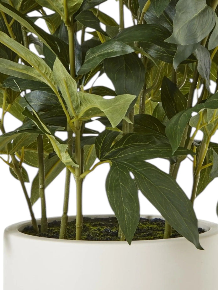 Large Potted White Peony Bush - Faux Plants & FlowersFaux Plants & Flowers - Lulu Loves Home