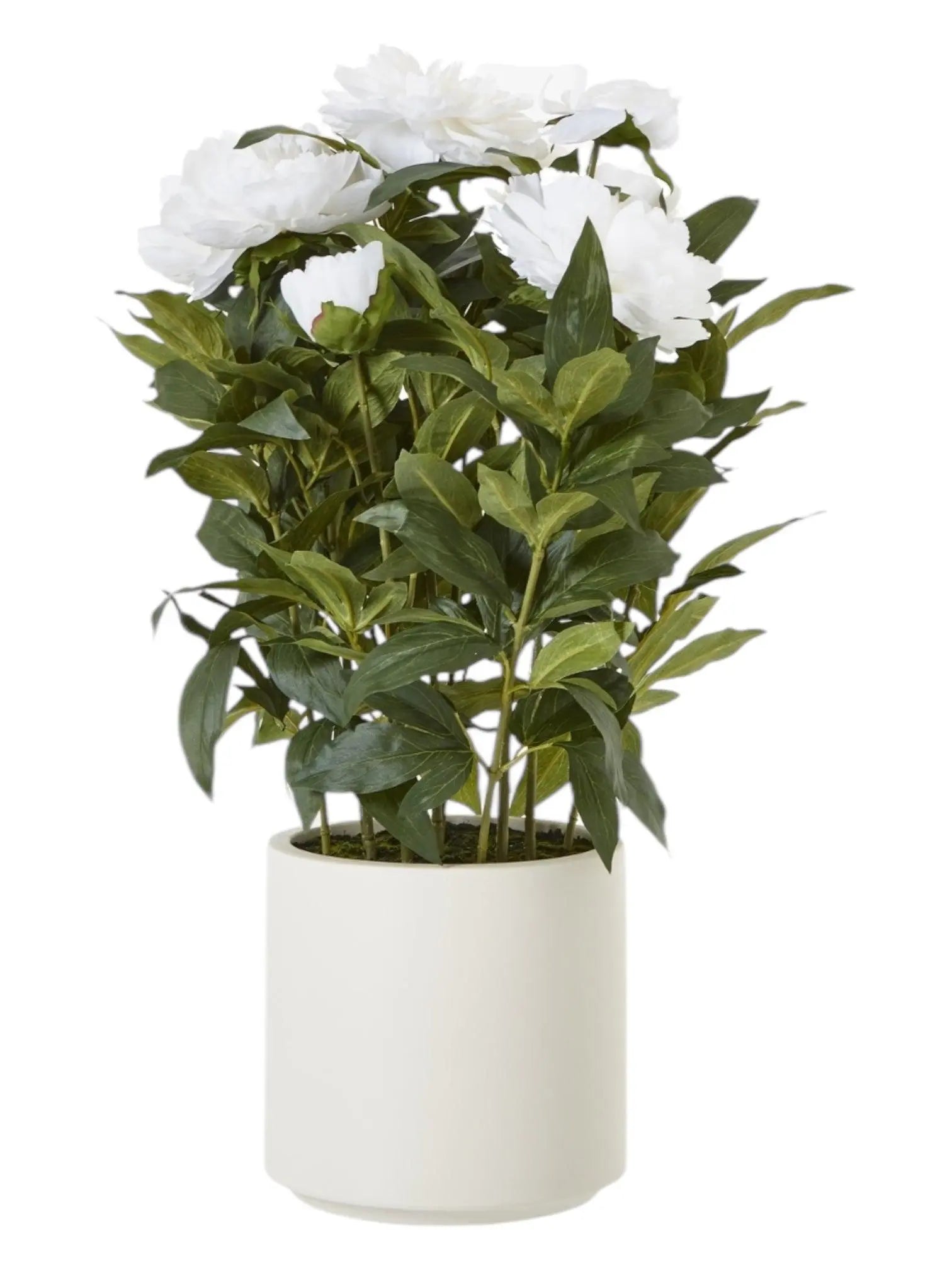 Large Potted White Peony Bush - Faux Plants & FlowersFaux Plants & Flowers - Lulu Loves Home