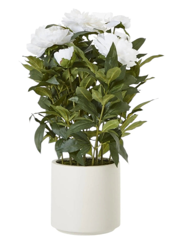 Large Potted White Peony Bush - Faux Plants & FlowersFaux Plants & Flowers - Lulu Loves Home