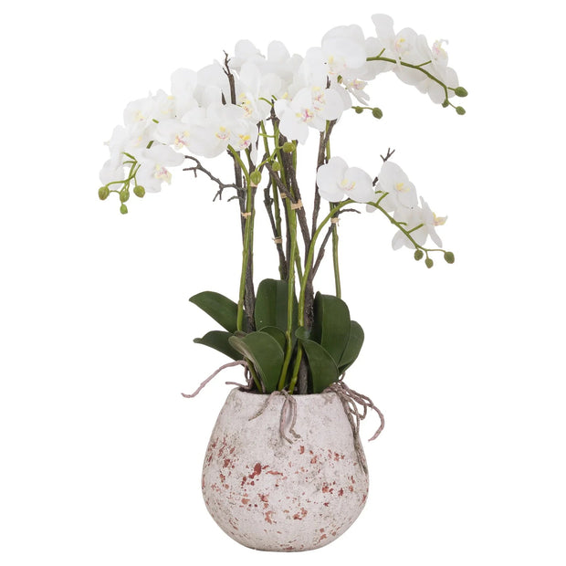 Large Stone Potted Orchid With Roots - Faux Plants & FlowersFaux Plants & Flowers - Lulu Loves Home
