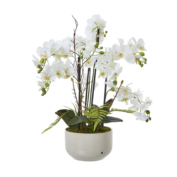 Large White Orchid In Ceramic Pot - Faux Plants & FlowersFaux Plants & Flowers - Lulu Loves Home