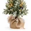 Close-up of frosted Christmas tree branches, lights and loosely gathered hessian base