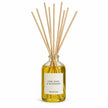 Heaven Scent LIME, BASIL & MANDARIN 100ml reed diffuser on white with natural reeds inserted.