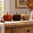 Orange, brown and beige frilled raffia pumpkin variants styled together