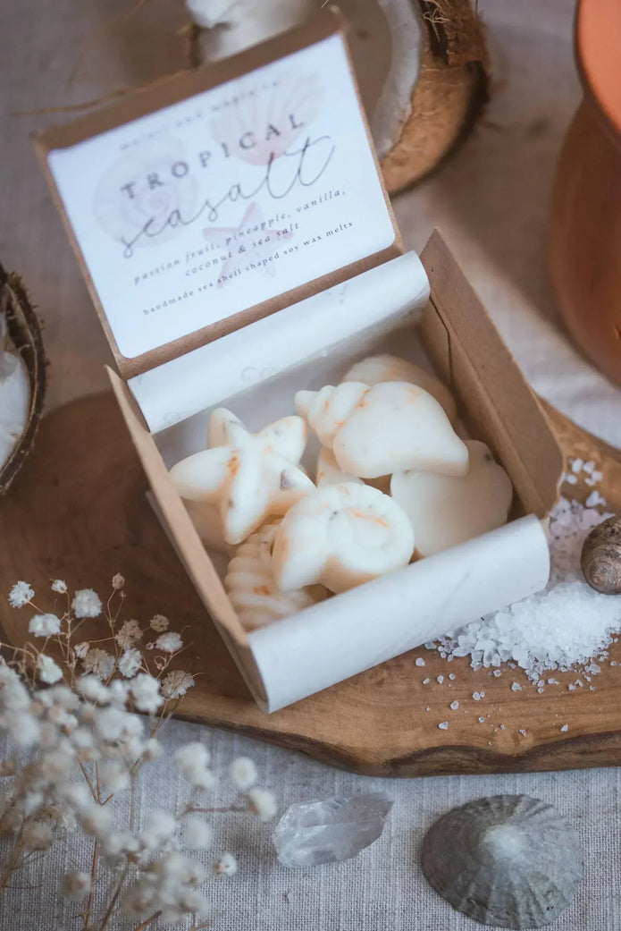 Scented Wax Melt Seashell Box - Beach Cotton Lulu Loves Home 