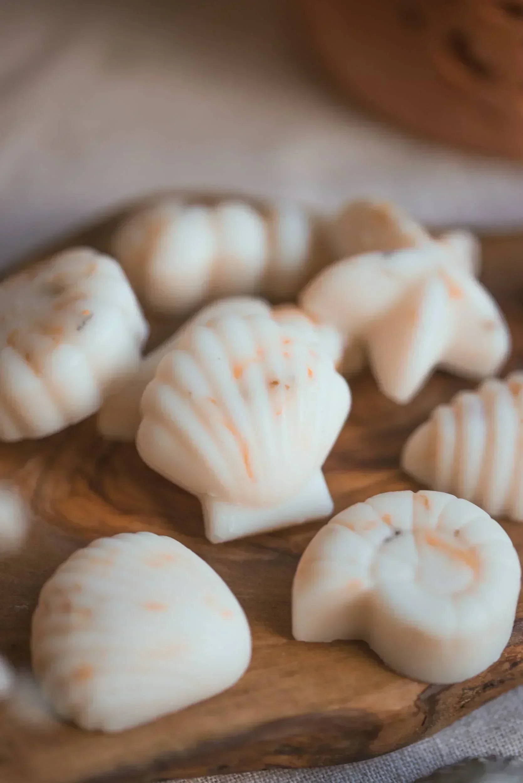 Scented Wax Melt Seashell Box - Beach Cotton Lulu Loves Home 