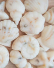 Scented Wax Melt Seashell Box - Beach Cotton Lulu Loves Home 