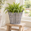 Medium greywashed Meon planter basket holding a fern on a low oak stand