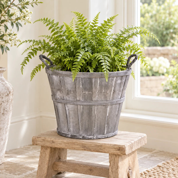 Medium greywashed Meon planter basket holding a fern on a low oak stand