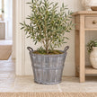 Medium Meon planter basket styled with an olive plant beside an oak hallway console