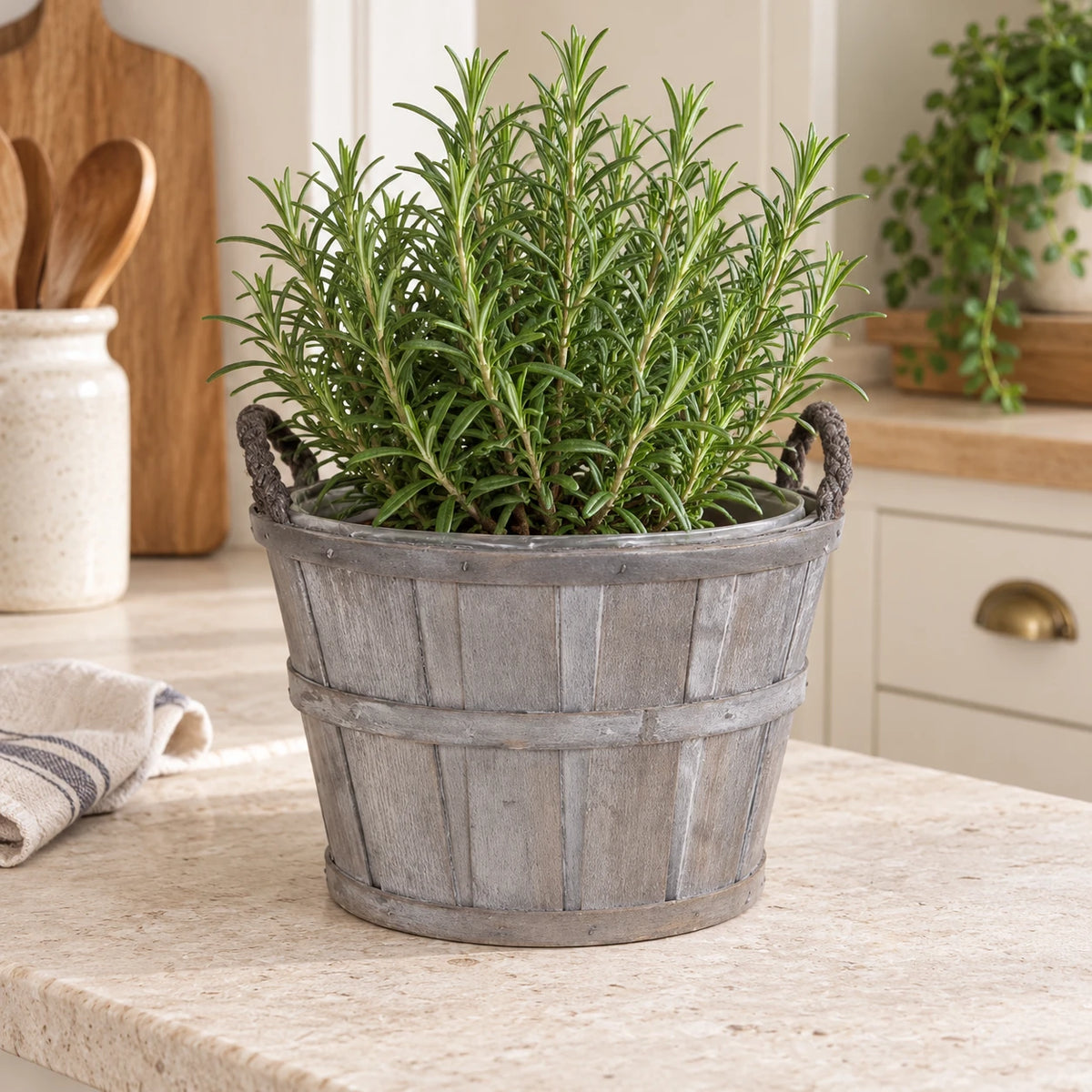 Small greywashed Meon planter basket styled with rosemary on a country kitchen counter