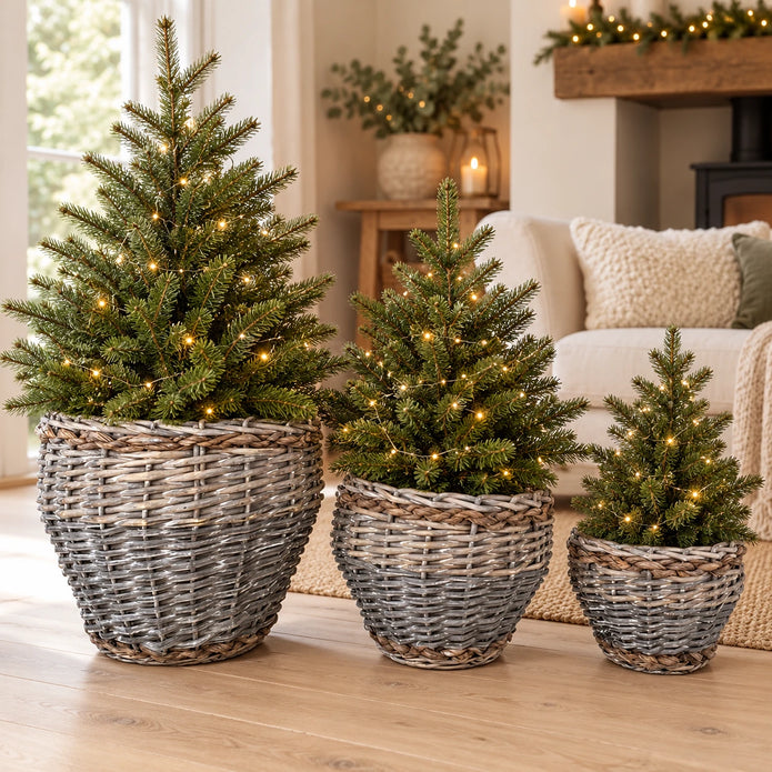 Set of three grey woven Meon planter baskets styled with small Christmas trees in a neutral living room