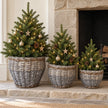 Meon grey woven planter basket set with Christmas trees on an unlit stone hearth
