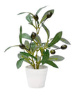 Mini Potted Olive Tree - Faux Plants & FlowersFaux Plants & Flowers - Lulu Loves Home