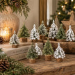 Mini snowy and green Christmas trees on wooden bases arranged on books and a festive country-home table