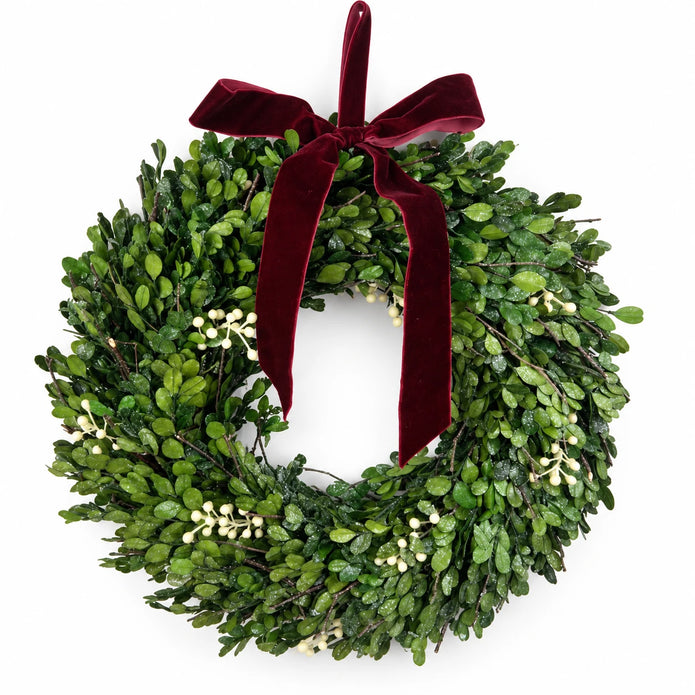 Studio view of green mistletoe wreath with burgundy velvet bow