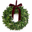 Studio view of green mistletoe wreath with burgundy velvet bow
