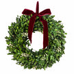 Mistletoe wreath with burgundy bow and ivory berries on white