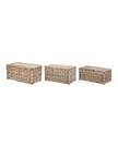 Natural Kubu Rattan Basket Storage Trunks - PRE ORDER SIX WEEK DELIVERY - Furniture And MirrorsFurniture And Mirrors - Lulu Loves Home