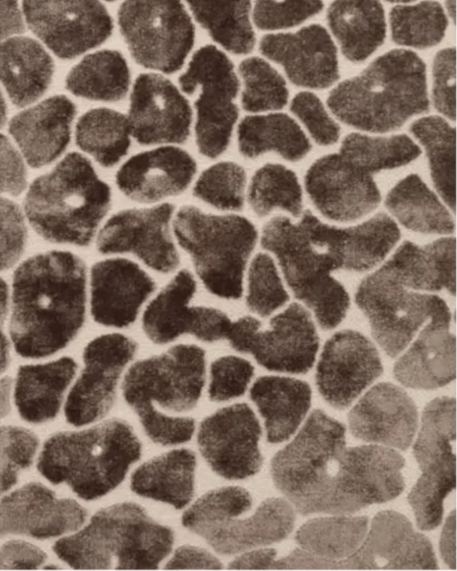 Neutral Brown Leopard Cut Velvet Cushion Cover - Soft FurnishingsSoft Furnishings - Lulu Loves Home