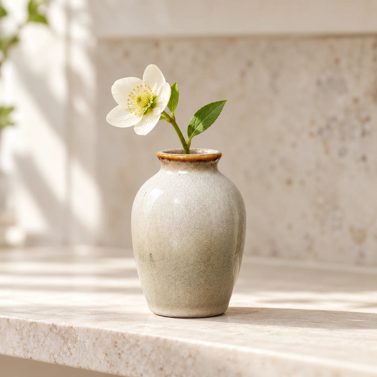 Large slim neutral ceramic mini bud vase with a single white flower on a cream kitchen shelf.