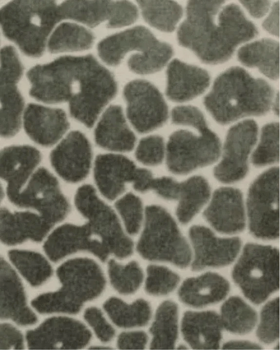 Olive Green Leopard Velvet Cushion Cover - Soft FurnishingsSoft Furnishings - Lulu Loves Home