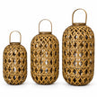 Three sizes of oval bamboo lantern shown with glass inserts and candle styling on white; each lantern sold individually