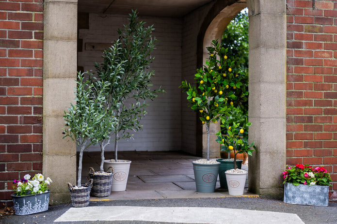 Artificial Olive Tree