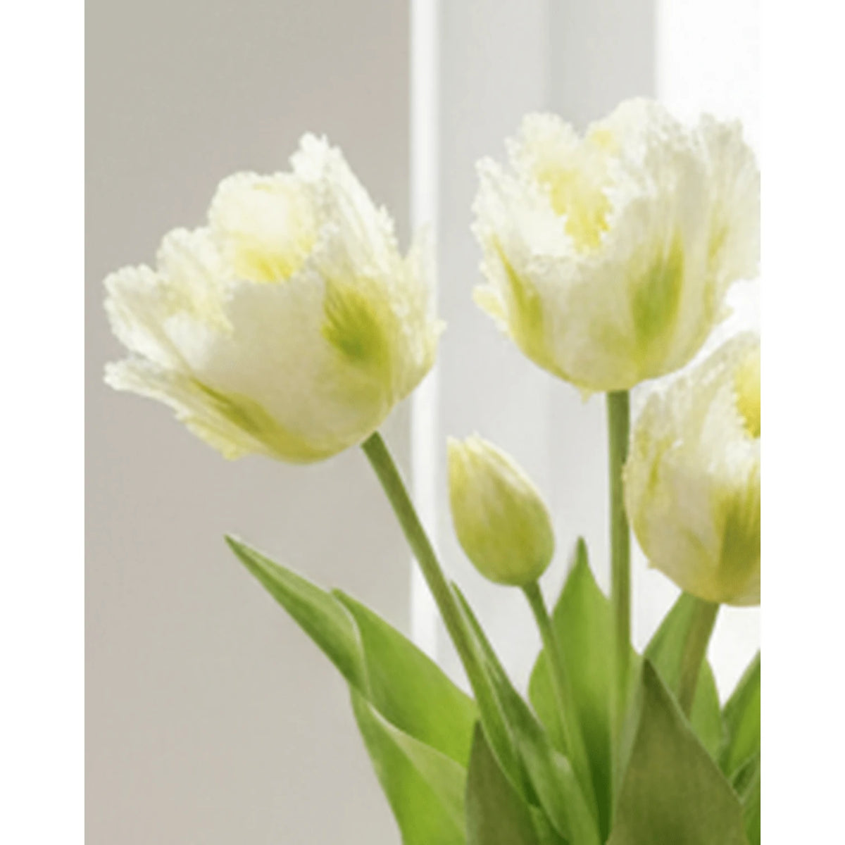 Bunch of 5 white artificial Parrot Tulip stems, standard size, spring flowers, from Starlight Express, realistic faux plant display
