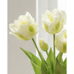 Bunch of 5 white artificial Parrot Tulip stems, standard size, spring flowers, from Starlight Express, realistic faux plant display
