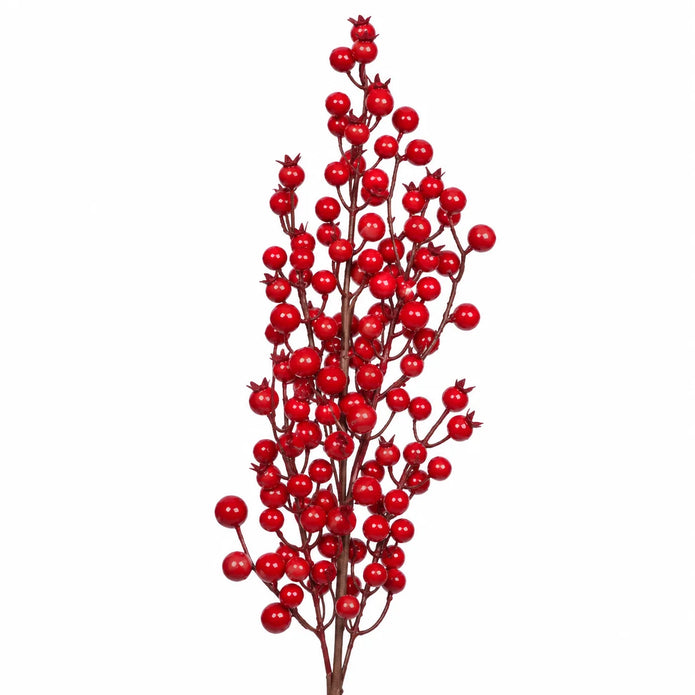 Close-up of red berries and fine brown branches on a single decorative stem