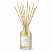 Heaven Scent RHUBARB & GINGER 100ml reed diffuser on white with natural reeds inserted.