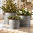 Three rustic zinc honeycomb planter pots styled with a small Christmas tree, white flowers and pinecones in a light hallway