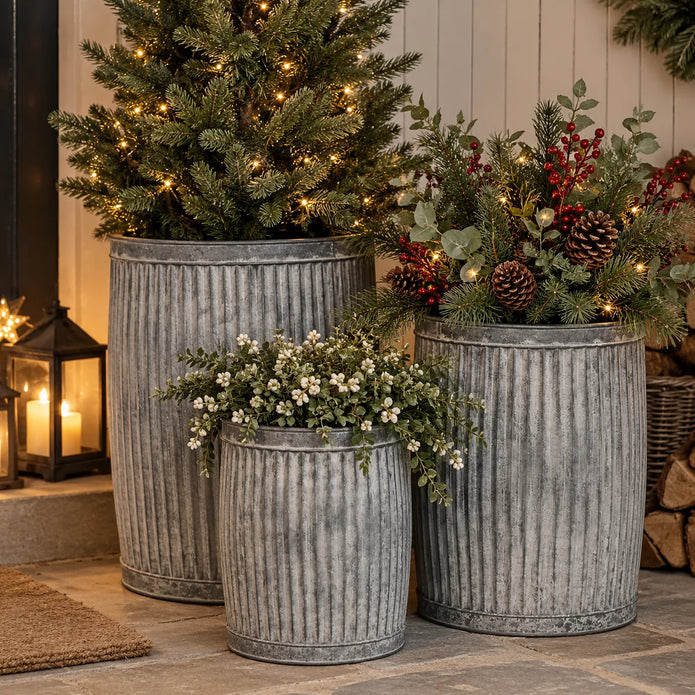 Three weathered ribbed metal round tub planters filled with a Christmas fir tree and seasonal greenery