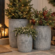 Three weathered ribbed metal round tub planters filled with a Christmas fir tree and seasonal greenery