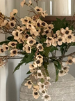 Artificial Daisy Flower Stem in peach from Starlight Express, displayed in a tall white textured vase.
