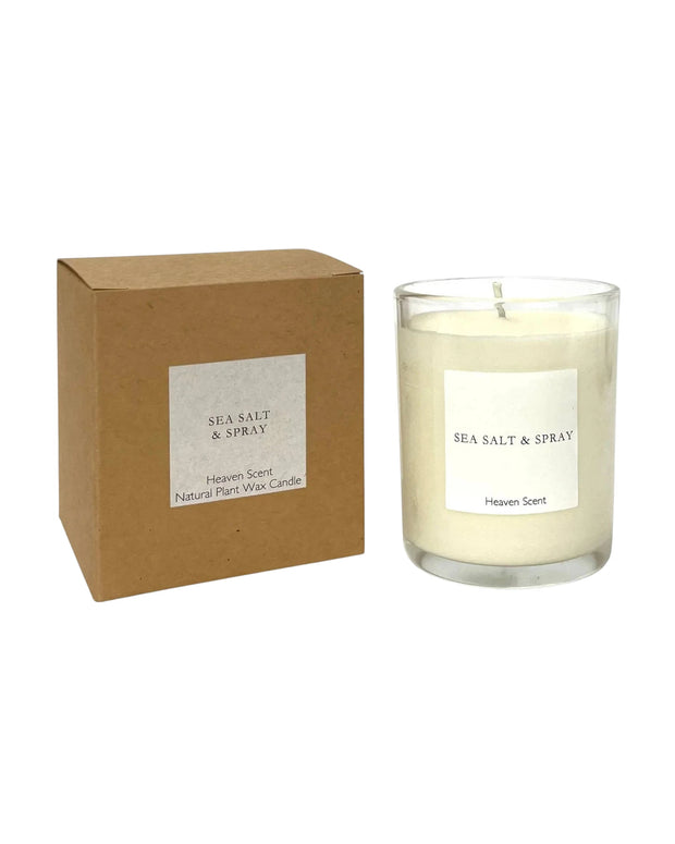 Sea Salt & Spray Medium Candle