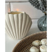 Sea Shell Matte Ceramic Oil Burner and Wax Warmer, close-up of the ribbed cream shell burner