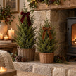 Small green fir tree styled in wicker basket with burgundy velvet bow beside a Christmas fireplace; basket and bow are props