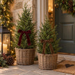 Green fir trees in wicker baskets with burgundy and brown velvet bows outside a Christmas doorway; props not included