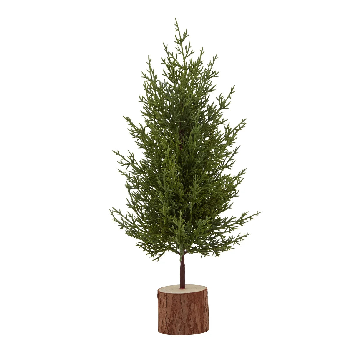 Small Green Fir Tree in Wood Log showing fine green foliage and natural round wooden base on a white background