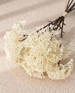 Artificial Cream Mini Allium Bunch from Starlight Express, realistic faux plant with cream-colored flower heads in a natural arrangement.