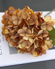 Artificial short dusky apricot hydrangea stem from Starlight Express, showcasing realistic faux flowers and lush green foliage.