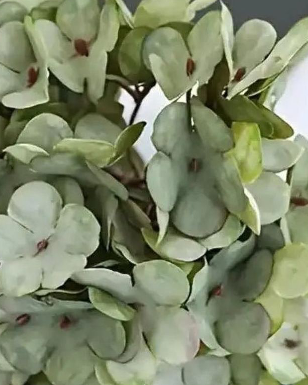 Artificial short sage green hydrangea stem from Starlight Express, featuring realistic green hydrangea blossoms and foliage.