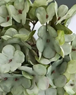 Artificial short sage green hydrangea stem from Starlight Express, featuring realistic green hydrangea blossoms and foliage.